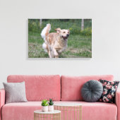 Goldener Retriever läuft 1 Leinwanddruck (Insitu (Wohnzimmer))