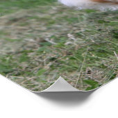 Goldener Retriever läuft 1 Poster (Ecke)