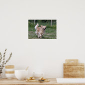 Goldener Retriever läuft 1 Poster (Küche)