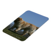 Goldener Retriever läuft 3 Magnet (Linke Seite)