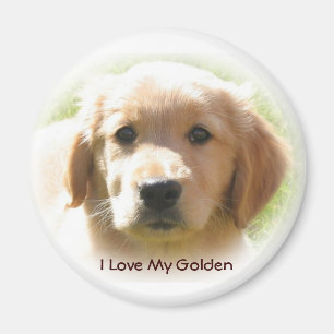 Goldener Retriever-Liebe Magnet