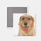 Goldener Retriever Magnet (Vorderseite/Rückseite)