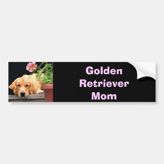 Goldener Retriever-Mama-Autoaufkleber-Rosa Autoaufkleber (Vorne)