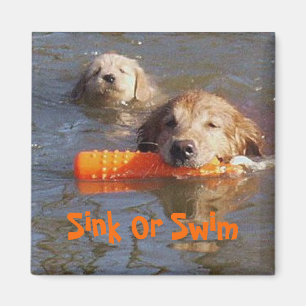 Goldener Retriever-Mama mit Welpen-Magneten Magnet