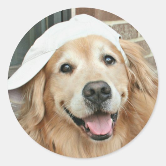 Goldener Retriever mit Baseballkappe Runder Aufkleber (Vorderseite)