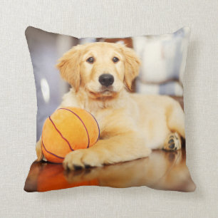 Goldener Retriever mit Basketballspielzeug Kissen