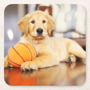 Goldener Retriever mit Basketballspielzeug Rechteckiger Pappuntersetzer