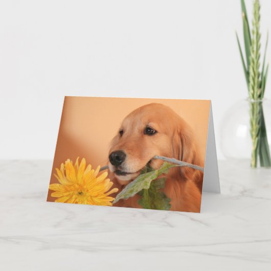 Goldener Retriever mit Blume Karte (Vorderseite)