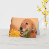 Goldener Retriever mit Blume Karte (Gelbe Blume)