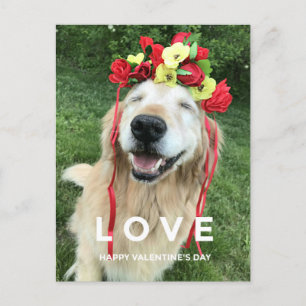 Goldener Retriever mit Blume Krone Valentinstag Feiertagspostkarte