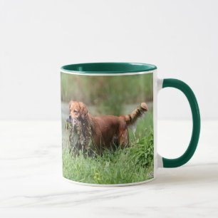 Goldener Retriever mit der Enten-Tasse Tasse