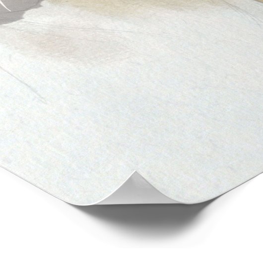 Goldener Retriever mit einem Schmetterling auf der Poster (Ecke)