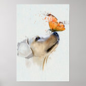 Goldener Retriever mit einem Schmetterling auf der Poster (Vorne)
