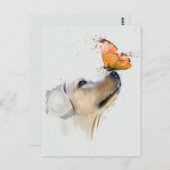 Goldener Retriever mit einem Schmetterling auf der Postkarte (Vorne/Hinten)
