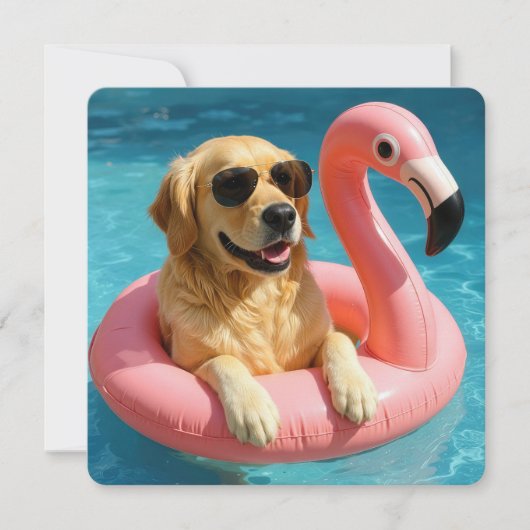 Goldener Retriever mit Flamingo Pool Party Einladung (Vorderseite)