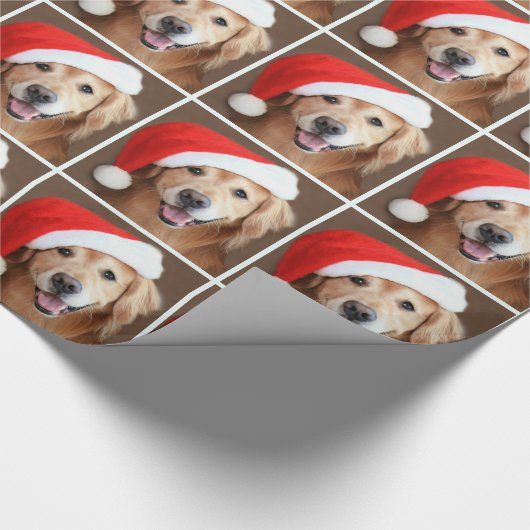 Goldener Retriever mit Geschenkpapier (Ecke)