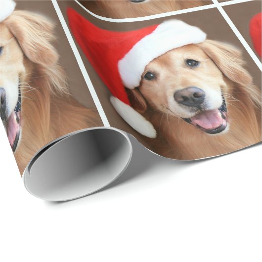Goldener Retriever mit Geschenkpapier (Rolleneckpunkt)