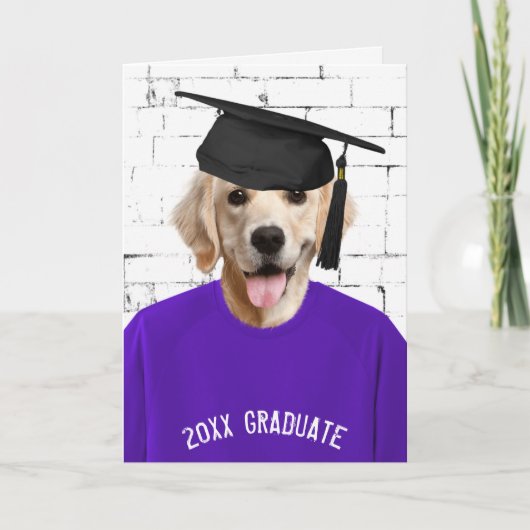 Goldener Retriever mit Graduierungshülse Karte (Vorderseite)