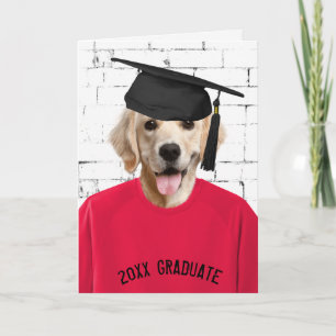 Goldener Retriever mit Graduierungshülse Karte