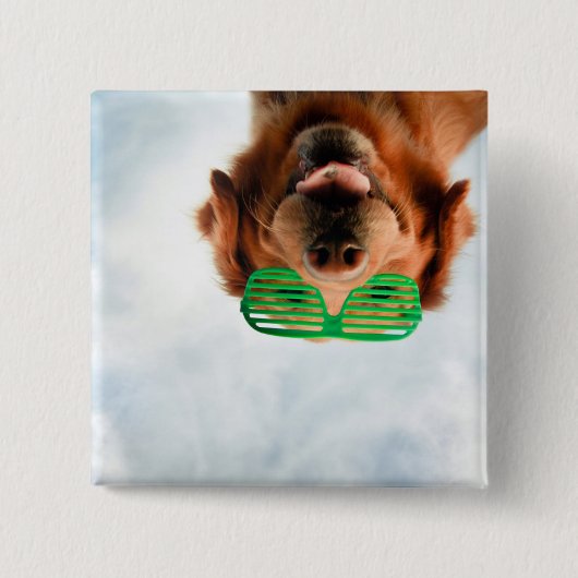 Goldener Retriever mit grüner Sonnenbrille Button (Vorderseite)