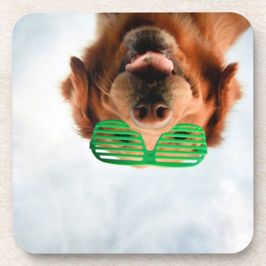 Goldener Retriever mit grüner Sonnenbrille Getränkeuntersetzer (Vorderseite)