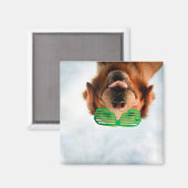 Goldener Retriever mit grüner Sonnenbrille Magnet (Vorderseite/Rückseite)