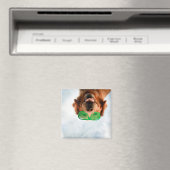 Goldener Retriever mit grüner Sonnenbrille Magnet (In Situ (Geschirrspüler))