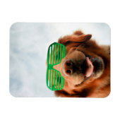 Goldener Retriever mit grüner Sonnenbrille Magnet (Horizontal)