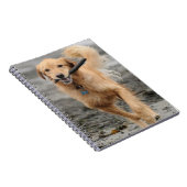 Goldener Retriever mit Mundkiefer Notizblock (Rechte Seite)