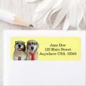 Goldener Retriever mit Nerd-Brille (Insitu)