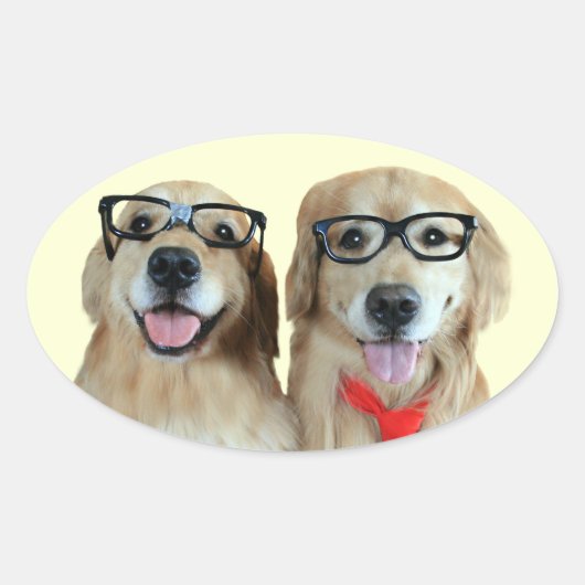 Goldener Retriever mit Nerd-Brillenaufklebern Ovaler Aufkleber (Vorderseite)