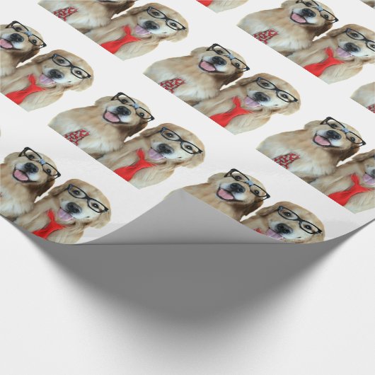 Goldener Retriever mit Nerd-Gläsern Geschenkpapier (Ecke)