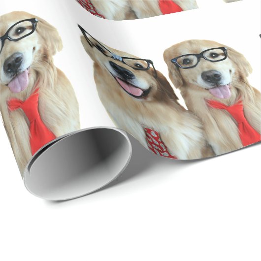 Goldener Retriever mit Nerd-Gläsern Geschenkpapier (Rolleneckpunkt)