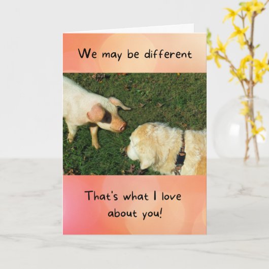 Goldener Retriever mit Pig Funny Jubiläumskarte Karte (Gelbe Blume)