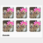 Goldener Retriever mit rosa Blume Headband Quadratischer Aufkleber (Blatt)