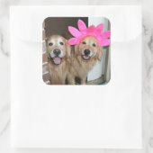 Goldener Retriever mit rosa Blume Headband Quadratischer Aufkleber (Tasche)