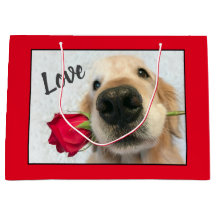 Goldener Retriever mit Rote Rosevalentine-Liebe