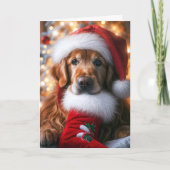 Goldener Retriever mit Weihnachten Strumpf (Vorderseite)