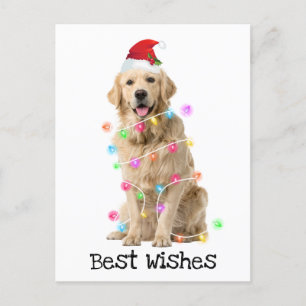 Goldener Retriever mit Weihnachtsbeleuchtung Feiertagspostkarte