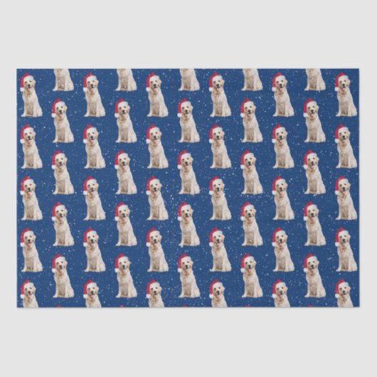 Goldener Retriever mit Weihnachtskappe Seidenpapier (Vorderseite)