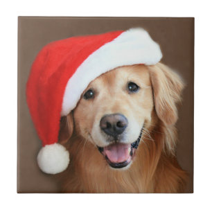 Goldener Retriever mit Weihnachtsmannmütze Fliese