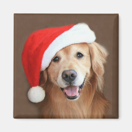 Goldener Retriever mit Weihnachtsmannmütze Magnet