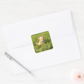 Goldener Retriever mit Zitat Quadratischer Aufkleber (Umschlag)