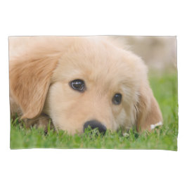 Goldener Retriever-niedliche Hundewelpen-Traum Kissenbezug