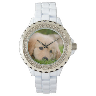 Goldener Retriever-niedlicher Welpe, der Armbanduhr