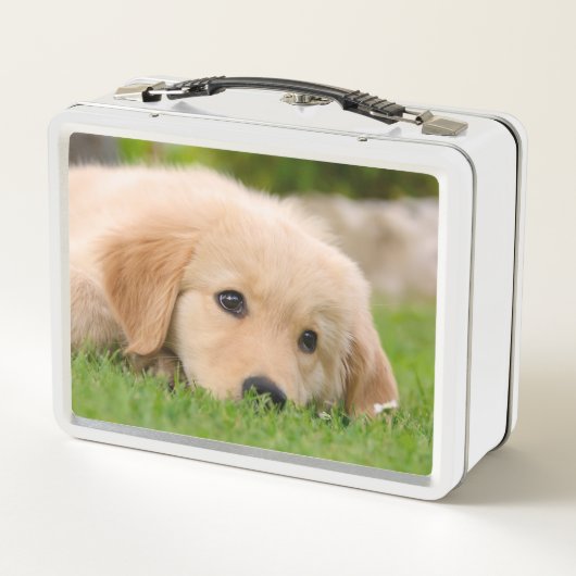 Goldener Retriever-niedlicher Welpe träumt Metall Brotdose (Rückseite)