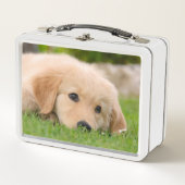 Goldener Retriever-niedlicher Welpe träumt Metall Brotdose (Vorderseite)