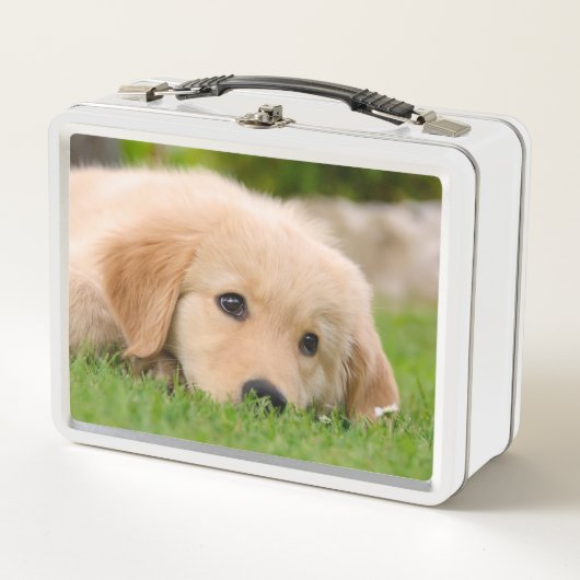 Goldener Retriever-niedlicher Welpe träumt Metall Brotdose (Vorderseite)