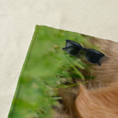 Goldener Retriever-niedlicher Welpe träumt Strandtuch (Beispiel)