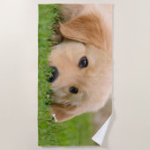 Goldener Retriever-niedlicher Welpe träumt Strandtuch (Vorderseite)